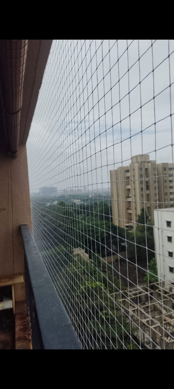 Bird Net Installation
