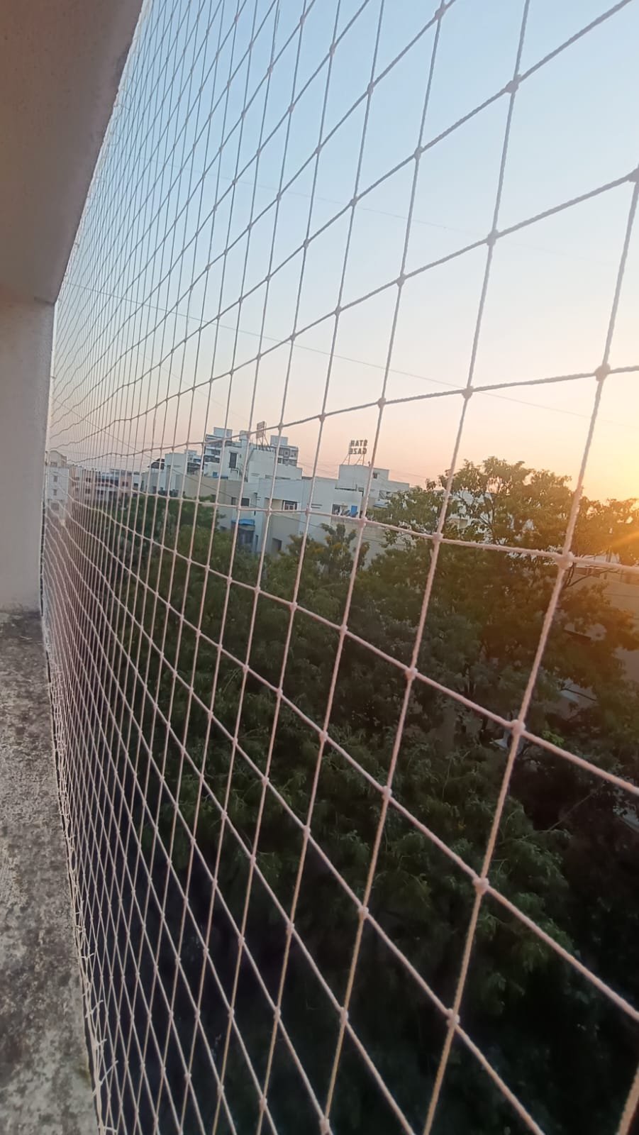 Safety Nets